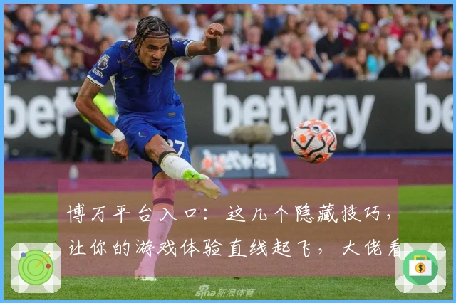 博万平台入口：这几个隐藏技巧，让你的游戏体验直线起飞，大佬看了都沉默