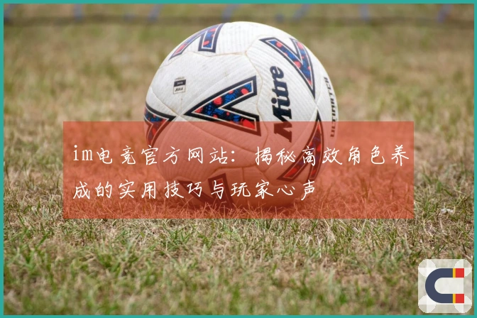 im电竞官方网站：揭秘高效角色养成的实用技巧与玩家心声